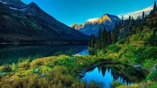 Relax music for sleep and relaxation Mountain forest