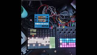 Live DAWless Set - Minilogue XD, Polyend Play, Hologram Microcosm, Bass Bot TT-303, Circuit Tracks