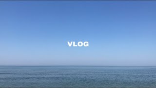 VLOG | going to the beach, decluttering, making jam🌊