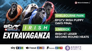 RPGTV Irish Puppy Oaks Final & Irish St Leger Second-Round Heats | Live Greyhound Racing