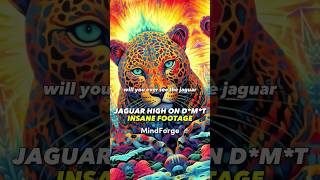 Jaguar TRIPS BALLS on Ayahuasca 🤯 #joerogan #jaguar #ayahuasca