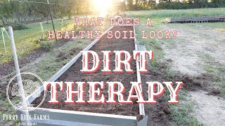 DIRT THERAPY What Does Healthy Soil Look Like?