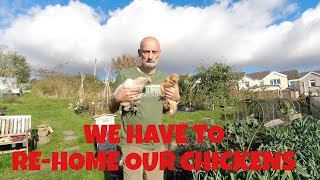 We have to Re-home our chickens | Allotments For Fun and Food