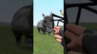 who is strongest? ALL ZOOCHOSIS ANIMALS MUTATED VS ZOONOMALY in Garry's Mod!