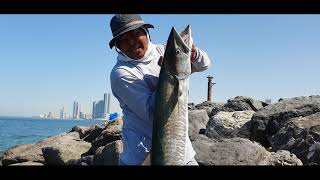 fishing in sharjah uae... #fishhunter