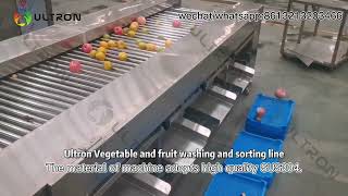 fruit sorting machine | apple sorter machine |dates washing and sorting machine |orange sorter price