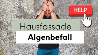 Hausfassade: Algenbefall