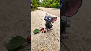 Котёнок. #3d #flexibility #cat #kitten #toys #funny #cute #foryou ##games #handmade