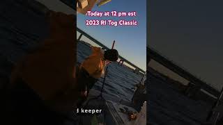 Preview of the 2023 RI Tog Classic #fishing #ritogclassic #tautog