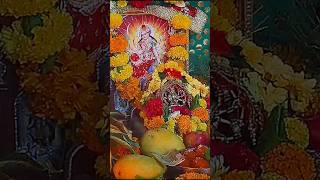 Jay Ambe Gauri Arti #tradingvideo #viralvideo #viralvideo #newshortsvideo #youtubeshorts #shortvideo