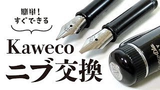 【万年筆】カヴェコ ディアⅡのニブをMからスタブ1.5に交換する！KawecoDiaⅡ