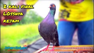 Burung Pantauan Yang Bikin BANGGA | FINAL Even Tabanas Lapak Purbasana Tegal 3 Maret 2024