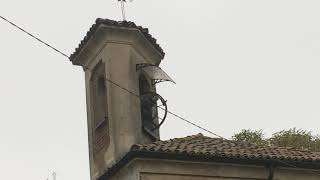 Le Campane di Pieve del Cairo (PV) Fraz.Messora -Distesa