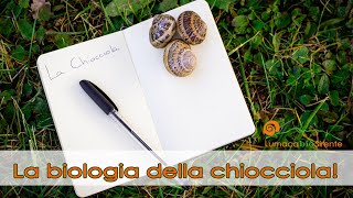 La biologia della chiocciola!