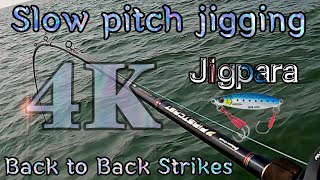 Slow Pitch Jigging Back To Back Strikes, Major craft Jigpara magical lure #4k