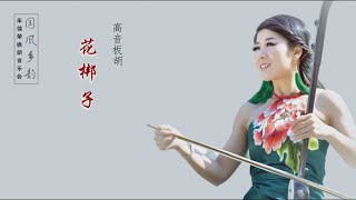 板胡曲《花梆子》车佳容高音板胡演奏（国风乡韵 • 车佳容板胡音乐会）