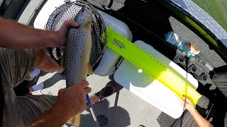 Unexpected Monsters From The Not So Deep - Rough Water Fishing - Surprise Bald Eagle Encounter