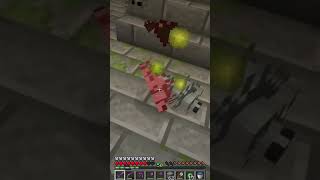 I HATE silverfish | Minecraft Survival Guide #Shorts