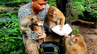 Brother help to feed monkeys Sina Dawn Sheba Lizza Lila