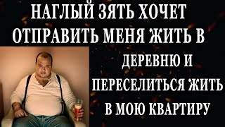 Истории из жизни Наглый зять хочет отправить меня жить в деревню Жизненные истории рассказы