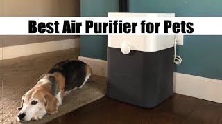 Top 5 Best Air Purifier for Pets - Best Air Purifiers For Pet Owners 2024