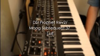 DSI Prophet Rev2: Lofi Sorta Vibes