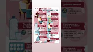 ТОП 10 факторов,разрушающих почки