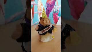 Singing hamster happy birthday, I am selling on ebay.