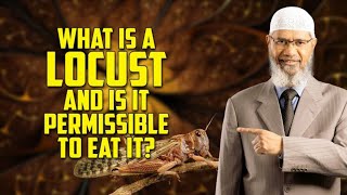 Is it Permissible to eat Locusts ? | Dr Zakir Naik