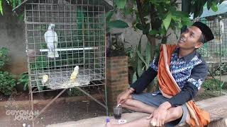 GUYONAN JOWO " MANUK PINGIN RONDO "