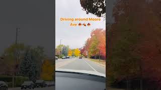 Driving around Moore Ave, East York #toronto #canada #fallseason #autumn #eastyork