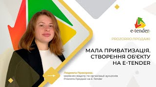 Мала приватизація. Створення об'єкту