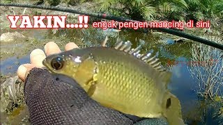 1 jam..!! TANGAN SAMPAI PEGANG MANCING PAPUYU_BETOK DI SPOT INI || kir Yanto 77