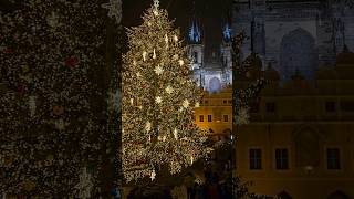 Magical Christmas Market 🌲 #travel #christmas #christmasmarket #prague #winter #shorts #music