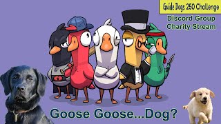 Goose Goose...Dog?... UK Guide Dogs Charity Stream