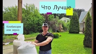 Почему КРОЛИКОВ лучше КОРМИТЬ КОМБИКОРМОМ а не зерном