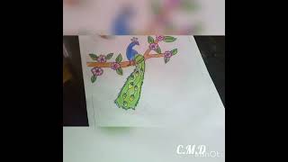 my drawing video in tamil chellameena drawings 🤗