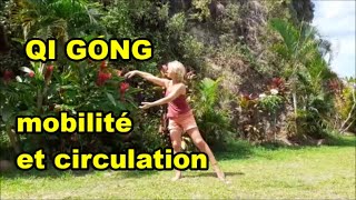 QI GONG mobilité et circulation (fluidifier, ouvrir, étirer et assouplir votre corps)