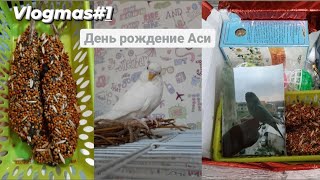 Vlogmas#1|День рождение Аси |20.12.20