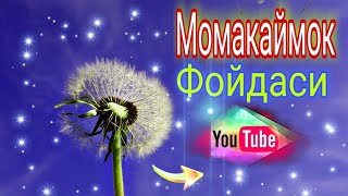 Момакаймок фойдаси, фойдали маслахат