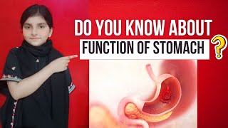 Stomach Funtions || Funtions of Stomach