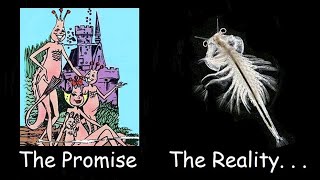 🙄SEA MONKEYS: The Great Pet Scam of the 1960s😳