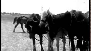 Early B&W 8mm  film of Yarrawonga, transferred in standard definition 4: