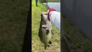 Catching SUPER RARE Fish in The U.S.!