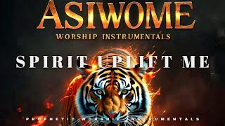 Divine Elevation Worship/SPIRIT UPLIFT ME