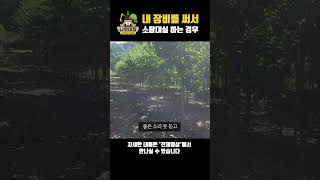 내 장비를 써서 소탐대실 하는 경우 | 나무대장🌳 나무농사의 모든것