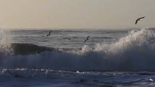 Ocean !  Sea ! Relaxation Meditation ! ! Beauty of Nature !