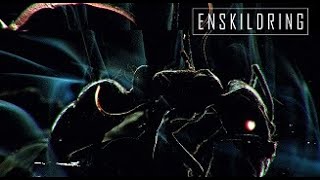 Enskildring-Enskildring