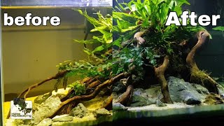 BUILD A NANO AQUASCAPE - Low tech 2weeks UPDATE #5|Membuat Aquascape|水草造景