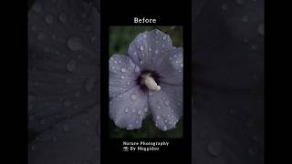 My Before & After Nature Photography #natureart #naturebeauty #nature #beforeandafter #photography